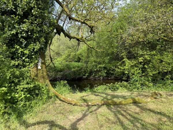 New Mill, New Moat, Clarbeston Road