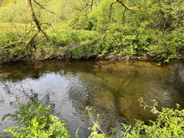 New Mill, New Moat, Clarbeston Road