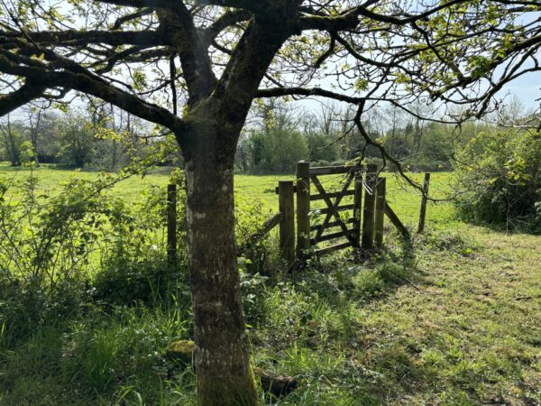 New Mill, New Moat, Clarbeston Road