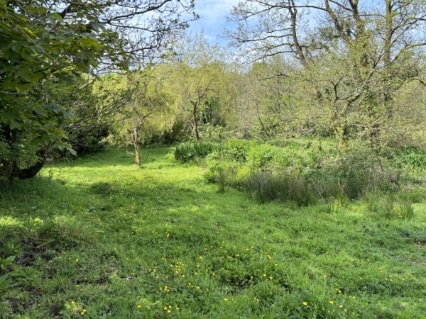 New Mill, New Moat, Clarbeston Road