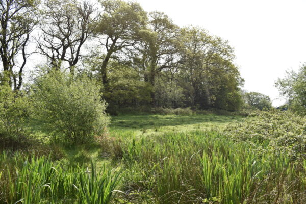 New Mill, New Moat, Clarbeston Road