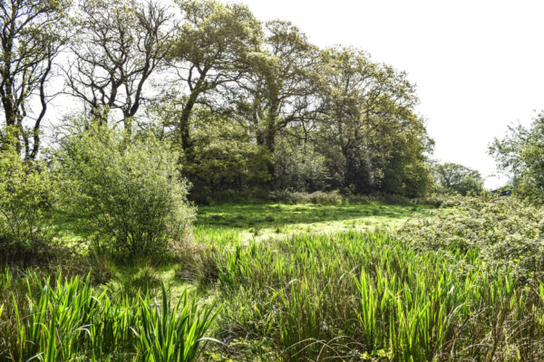 New Mill, New Moat, Clarbeston Road