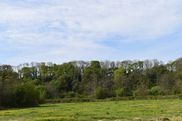 New Mill, New Moat, Clarbeston Road