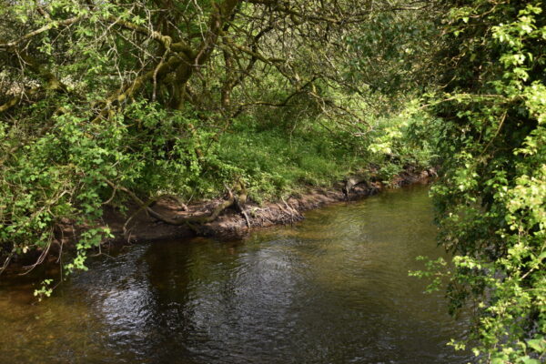 New Mill, New Moat, Clarbeston Road