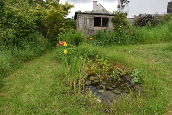 Rectory Road, Llangwm