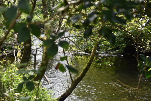 New Mill, New Moat, Clarbeston Road