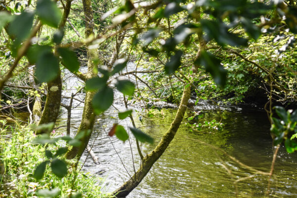 New Mill, New Moat, Clarbeston Road